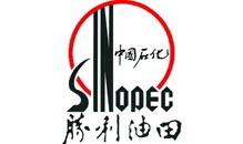 中国石化胜利油田